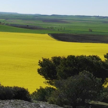 La Aldea Colorada Lejlighed Mota del Marqués Eksteriør billede
