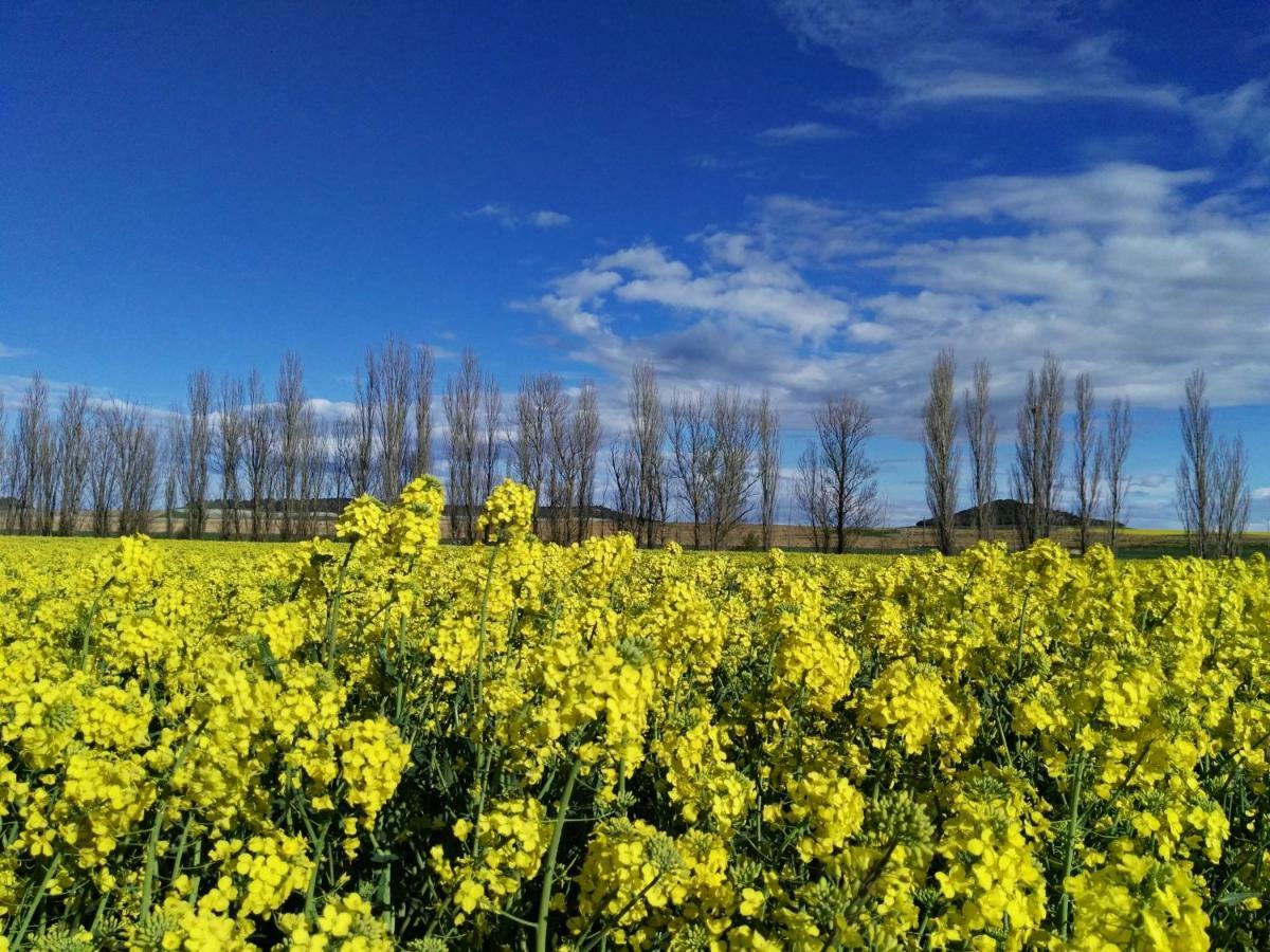 La Aldea Colorada Lejlighed Mota del Marqués Eksteriør billede
